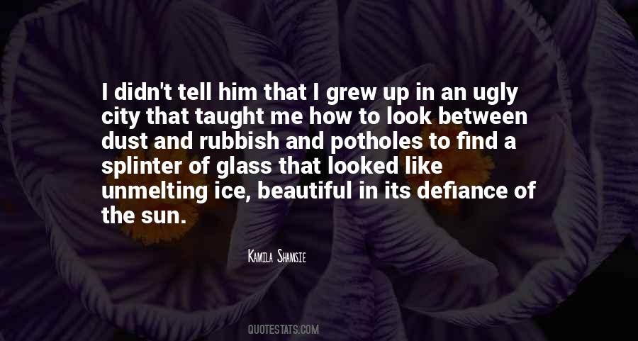 Quotes About Beautiful And Ugly #473973