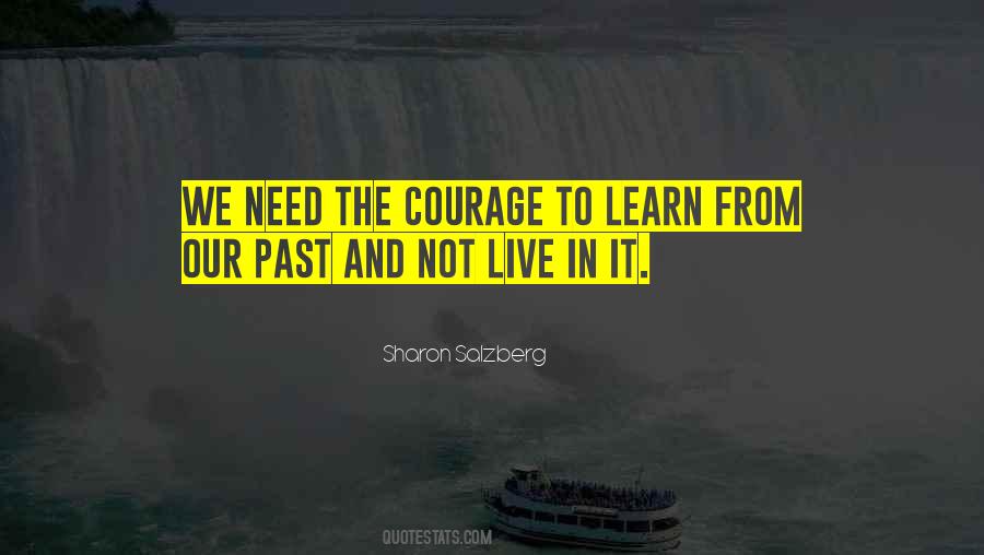 Quotes About Learn From The Past #133899