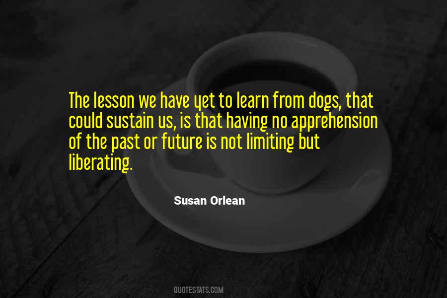 Quotes About Learn From The Past #451025
