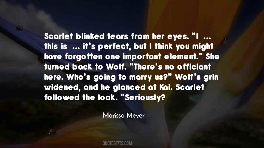 Quotes About Wolf Eyes #826567