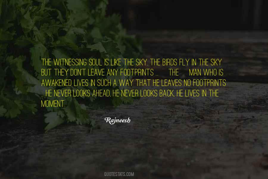 Quotes About Birds In The Sky #1672632