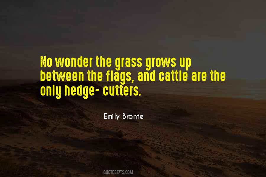 Quotes About Cattle #1007771