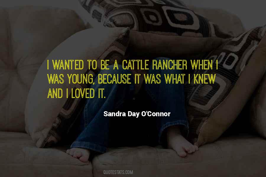 Quotes About Cattle #1664335