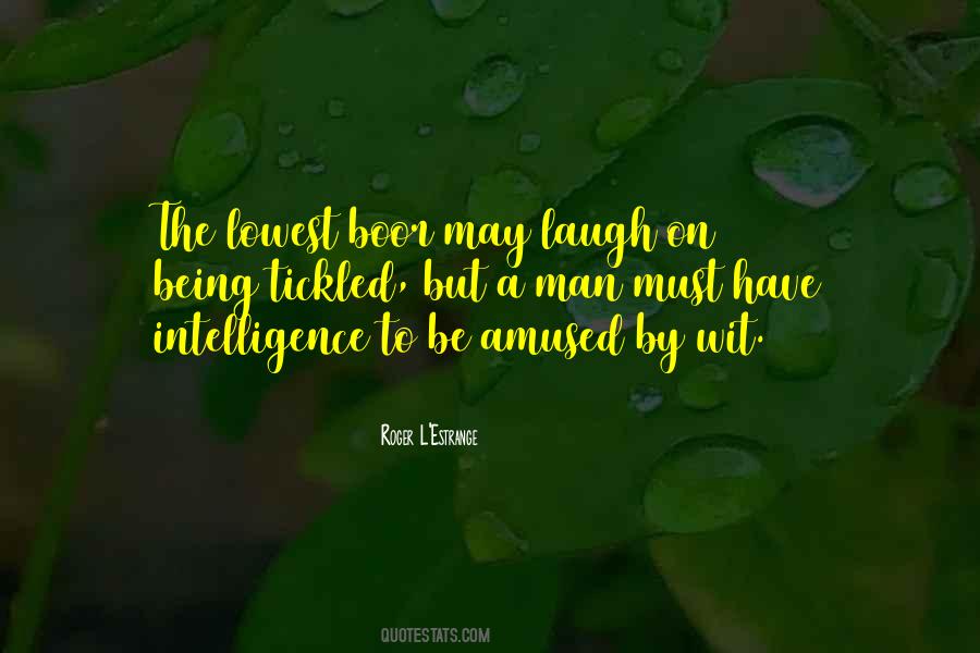 Quotes About Being Amused #1801865