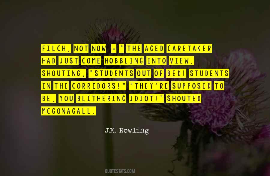 Blithering Idiot Quotes #1138022