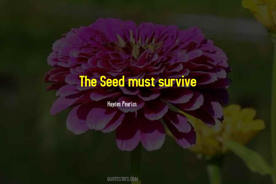 Quotes About Sunrise #243185 Quotes About Sunrise #243185