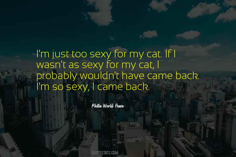 Too Sexy Quotes #1678254