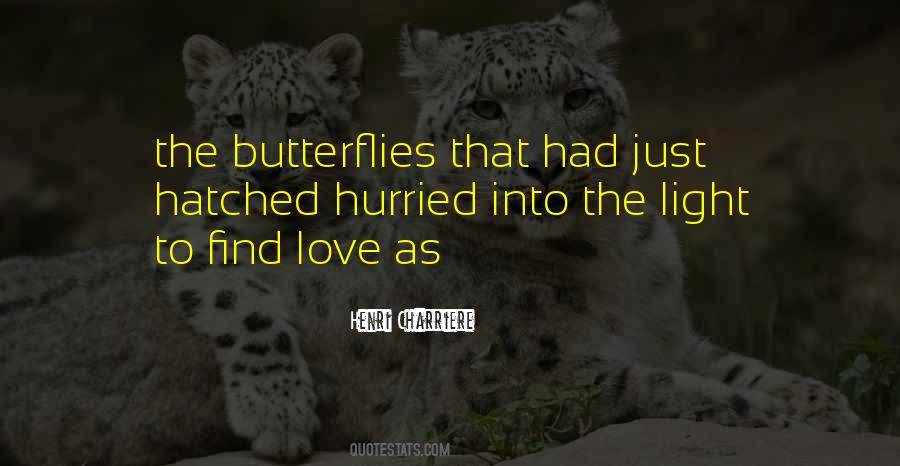 Quotes About Love Butterflies #805888
