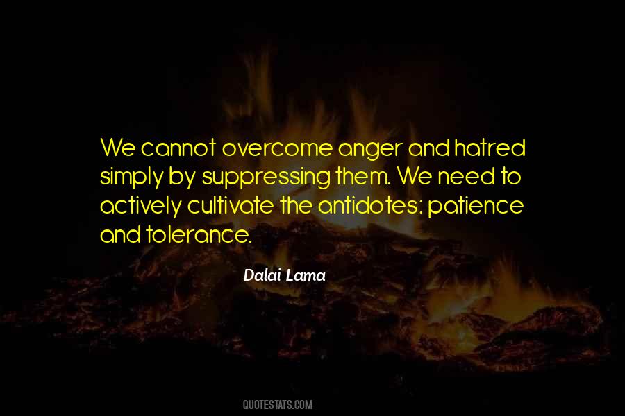 Quotes About Anger And Hatred #45522