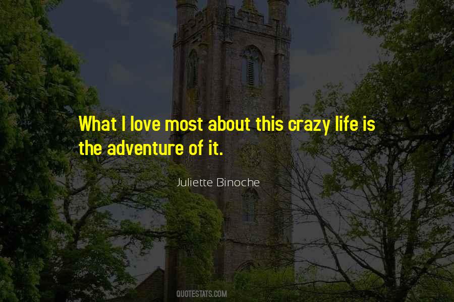 Quotes About Life Of Adventure #279871