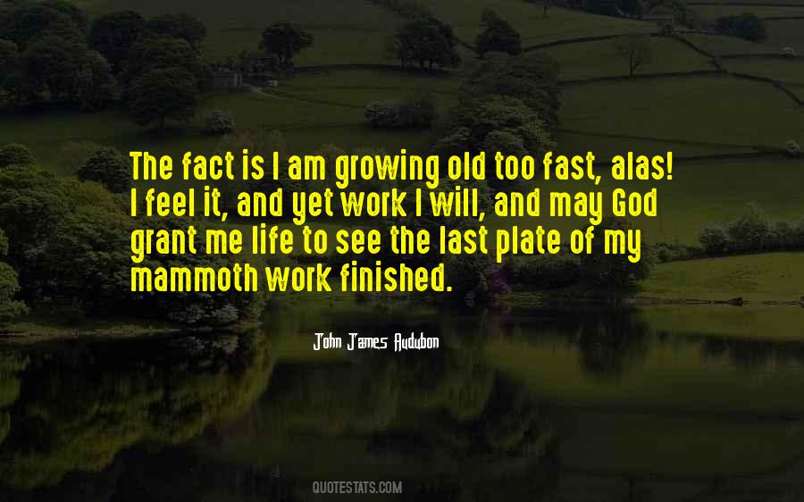 Quotes About Growing Old Too Fast #1124163