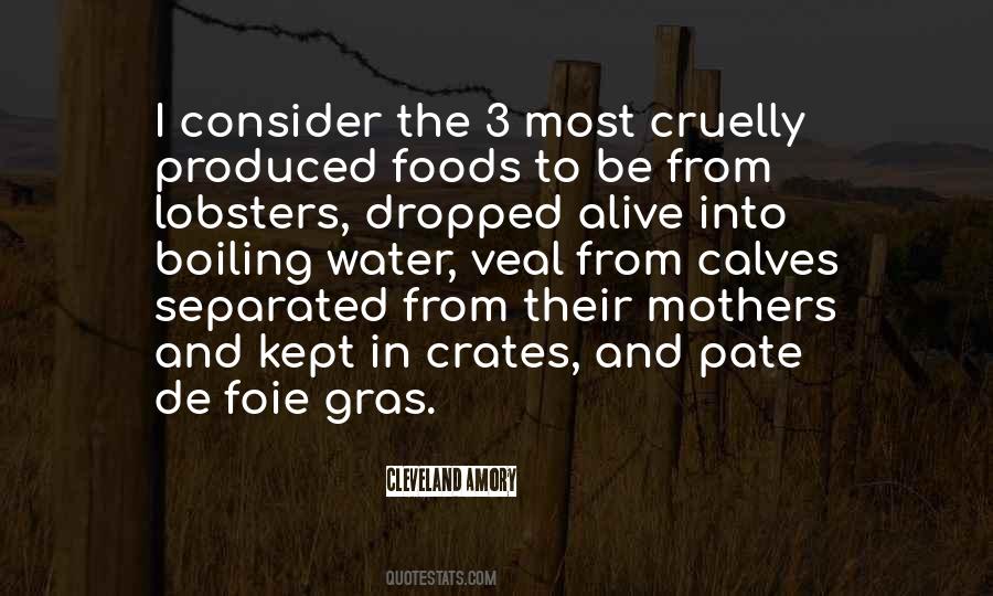 Quotes About Foie Gras #68373
