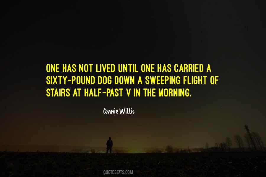 Quotes About Pound #1057013