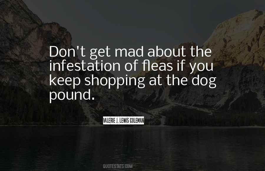 Quotes About Pound #1236066
