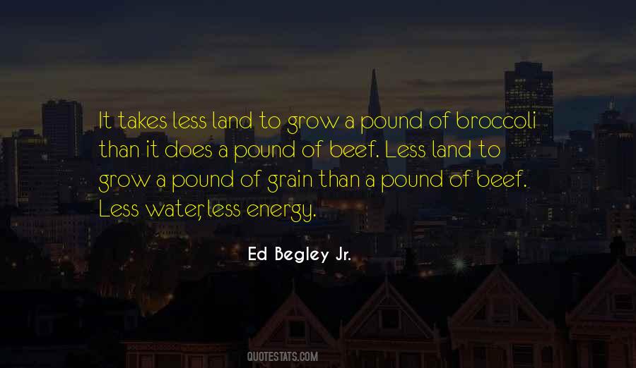 Quotes About Pound #1356485