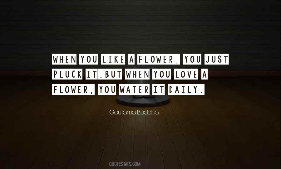Love Buddha Quotes #158797
