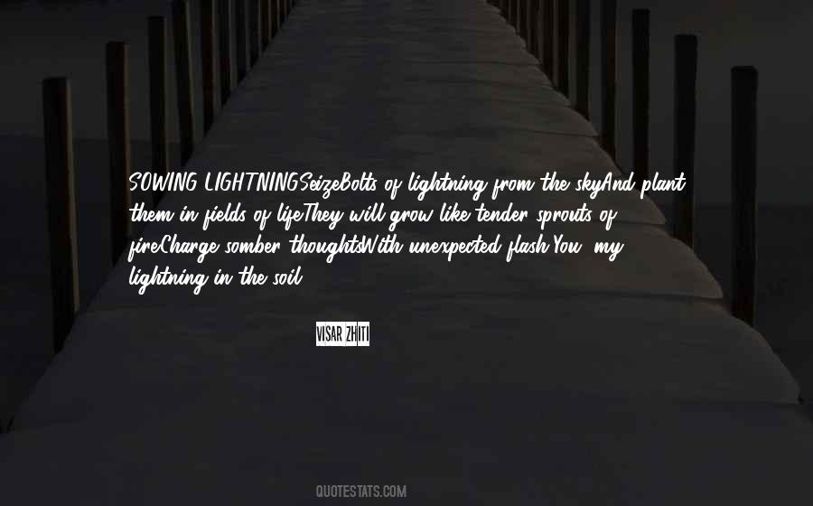 Quotes About Lightning Bolts #1466416