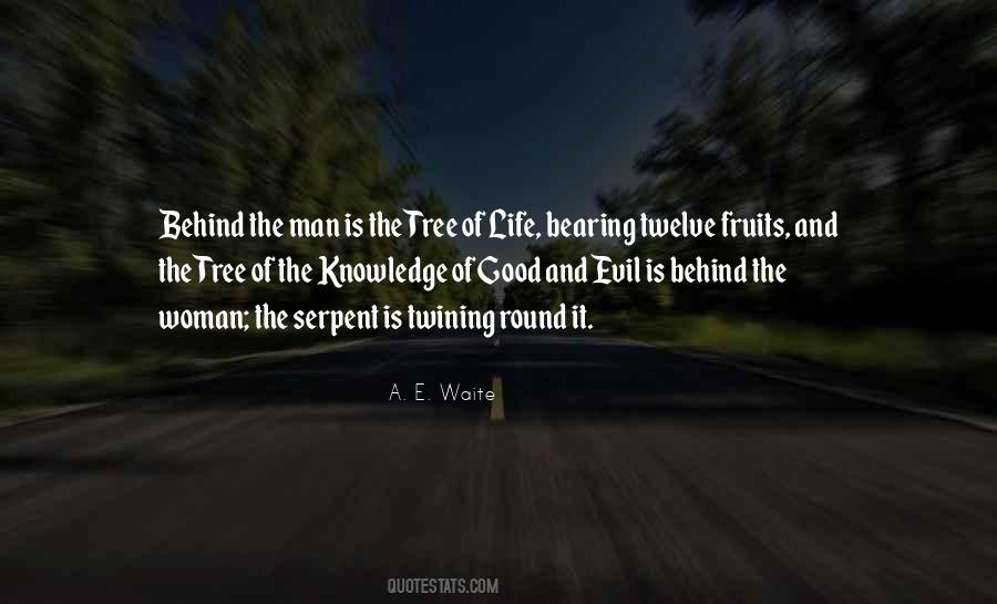 Quotes About Knowledge Of Good And Evil #1621180