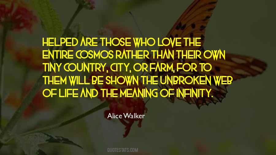 Love Infinity Quotes #839837