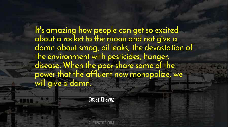 Quotes About Pesticides #652524