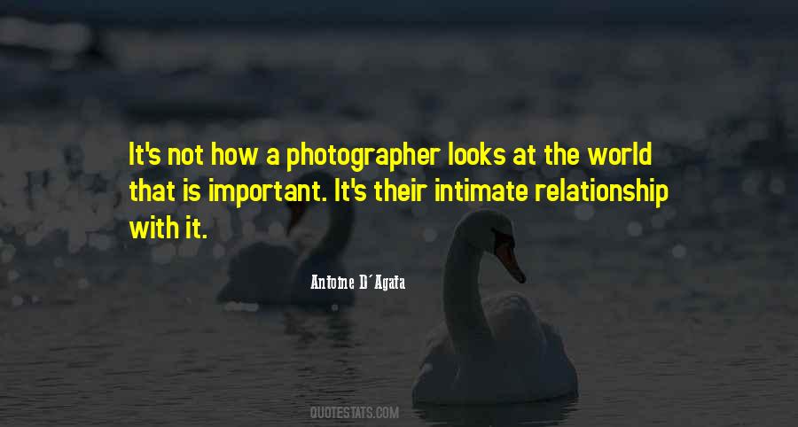 Quotes About Sentence Structure #522240