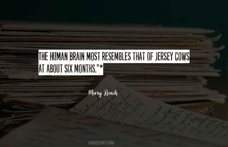 Quotes About The Human Brain #1027555