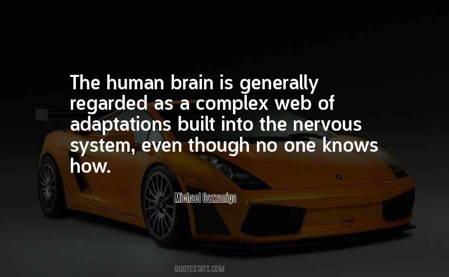 Quotes About The Human Brain #1678147