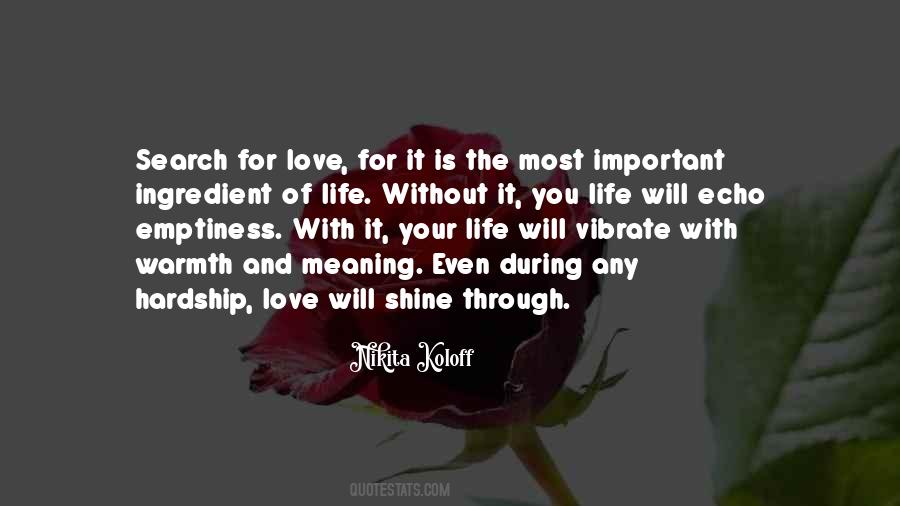 Quotes About The Meaning Of Life And Love #1401046