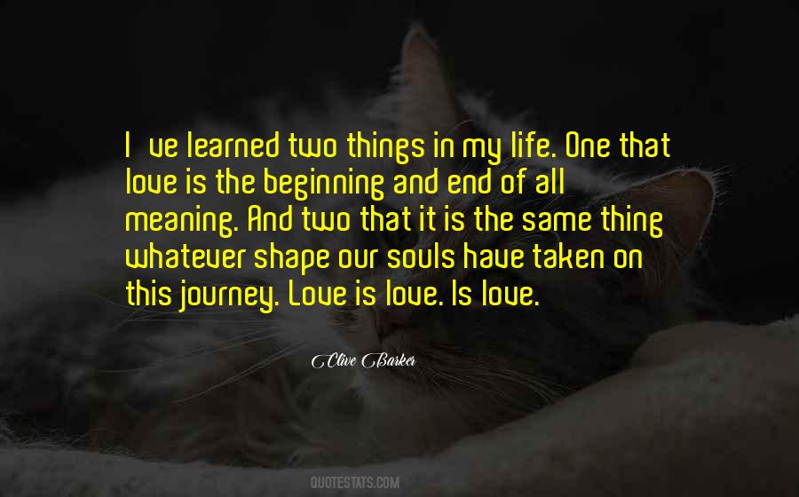 Quotes About The Meaning Of Life And Love #1597245