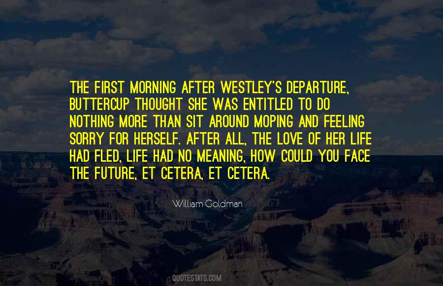 Quotes About The Meaning Of Life And Love #45145