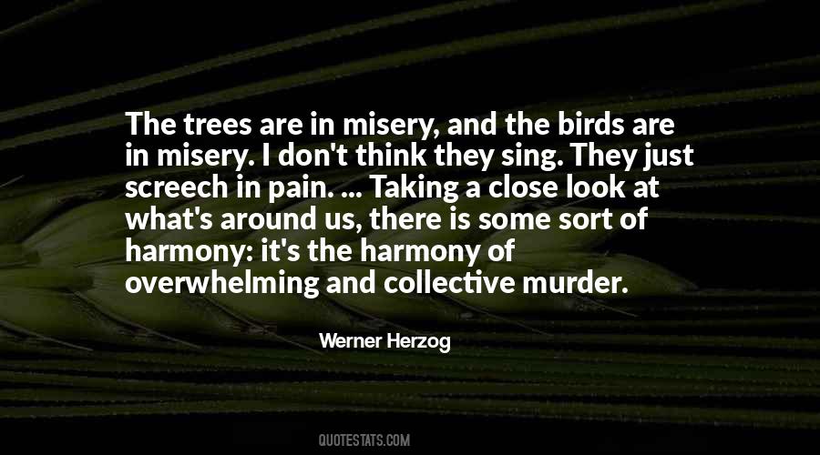 Quotes About The Birds #1180684