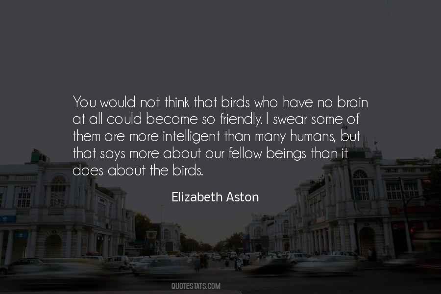 Quotes About The Birds #1239104