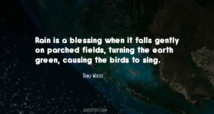 Quotes About The Birds #1258672