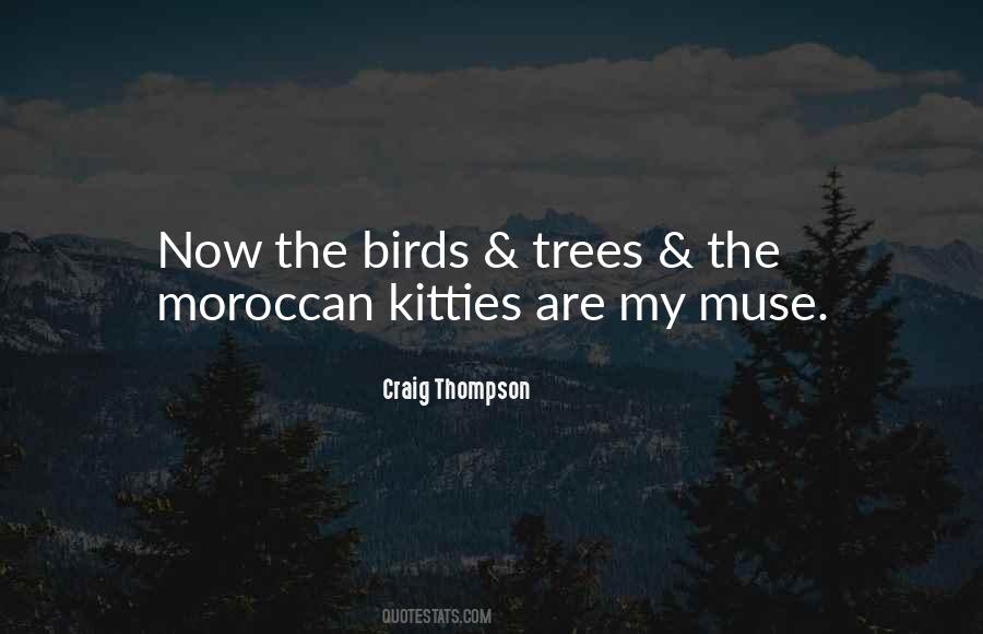 Quotes About The Birds #958062