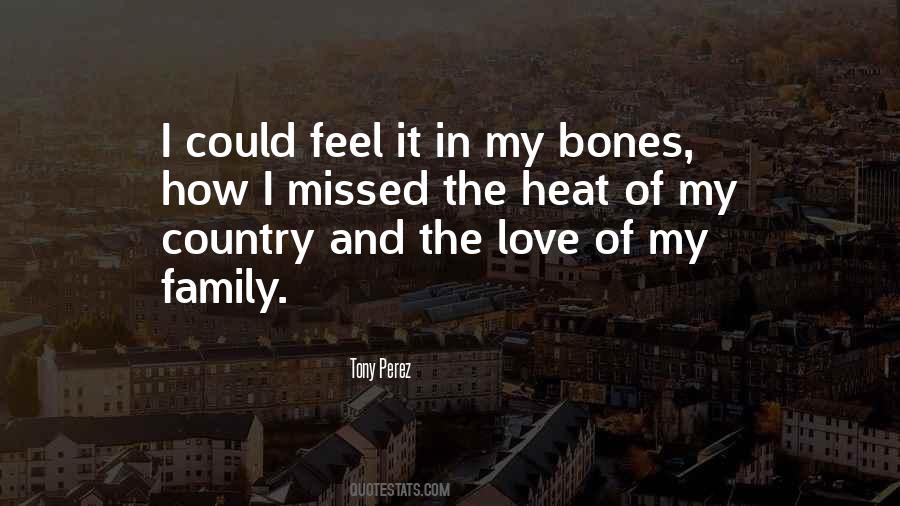 Quotes About Love Of Country #325937