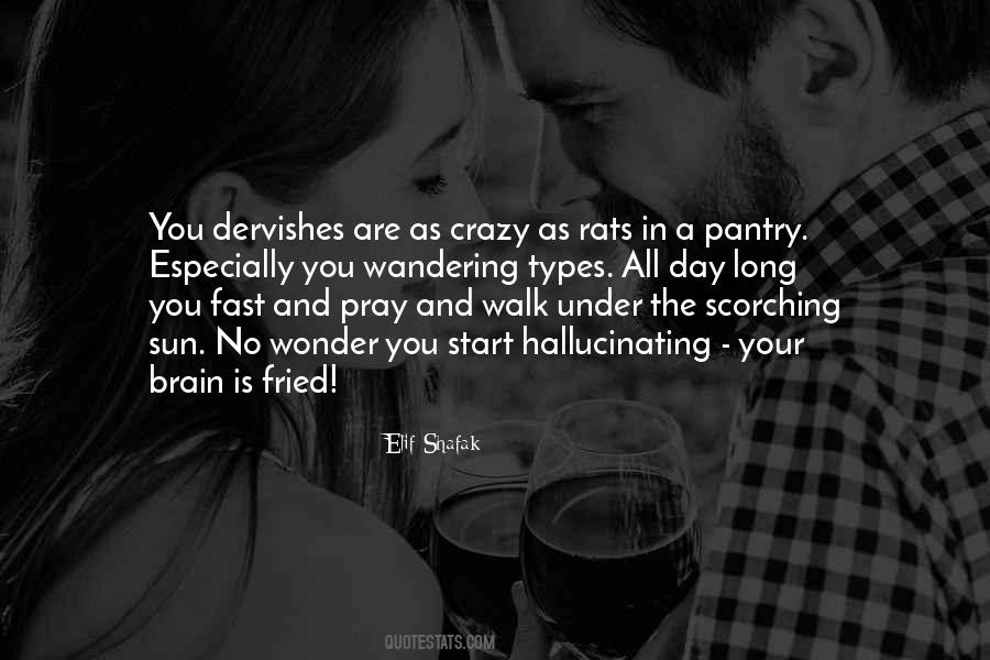 Quotes About Rats #1690680