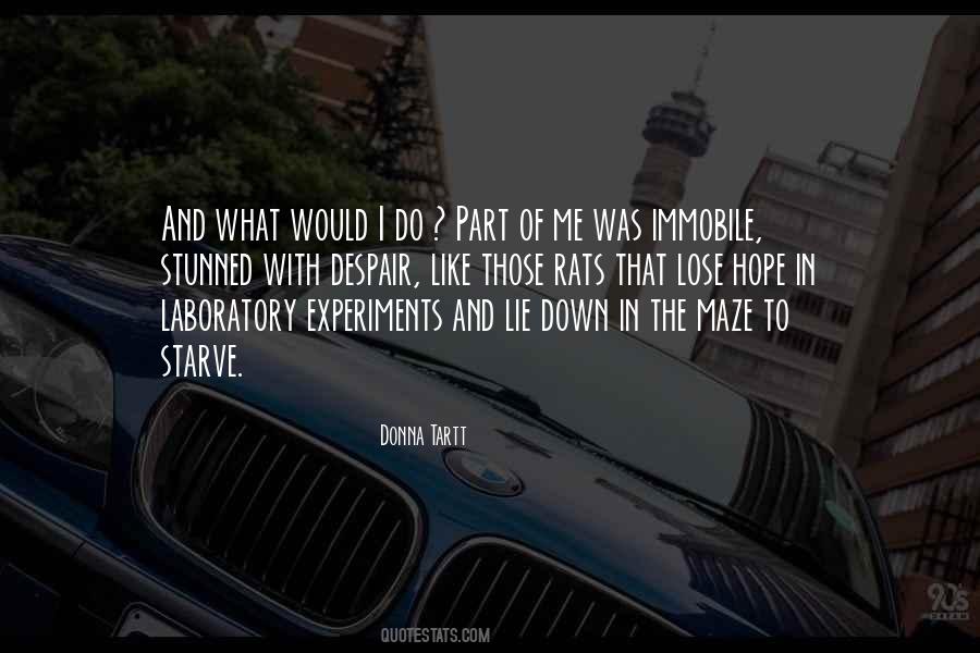 Quotes About Rats #334048 Quotes About Rats #334048