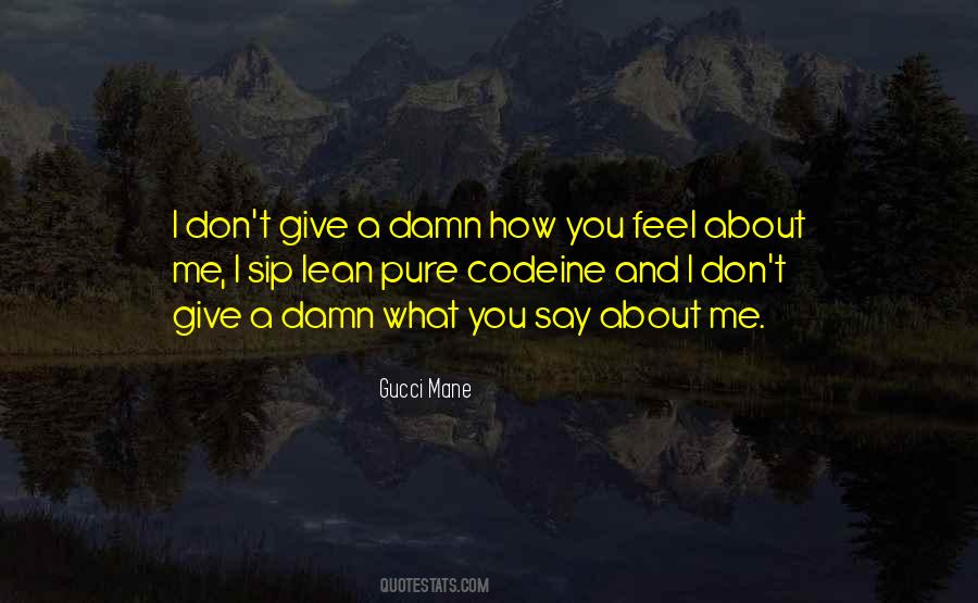 Quotes About Not Giving A Damn #731053