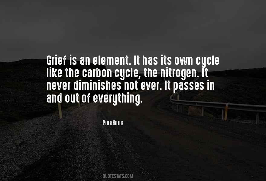 Diminishes Me Quotes #39151
