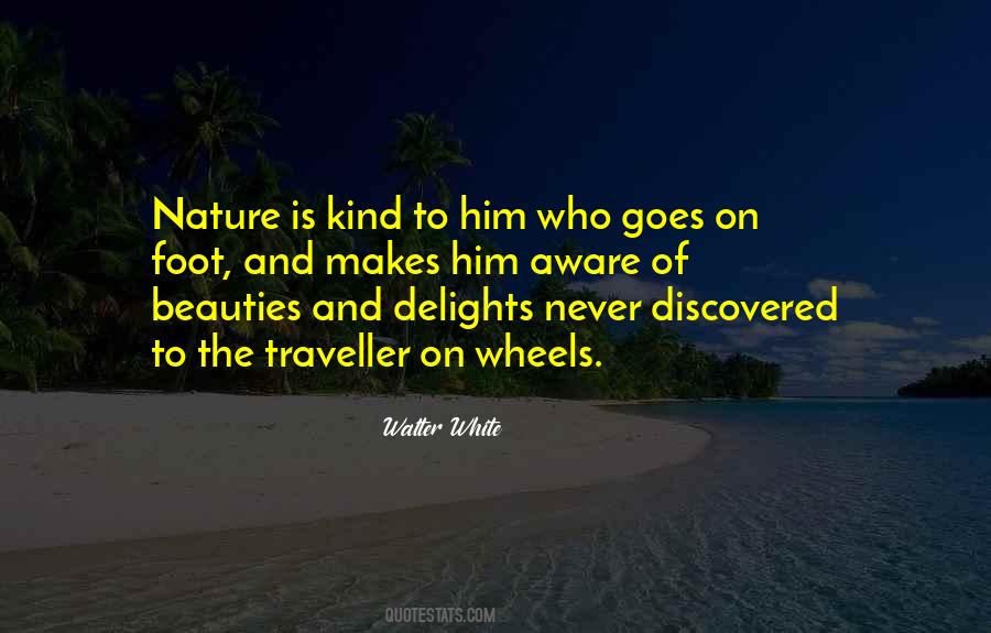 Quotes About Traveller #303452