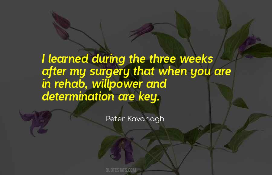 Quotes About Rehab #1205269