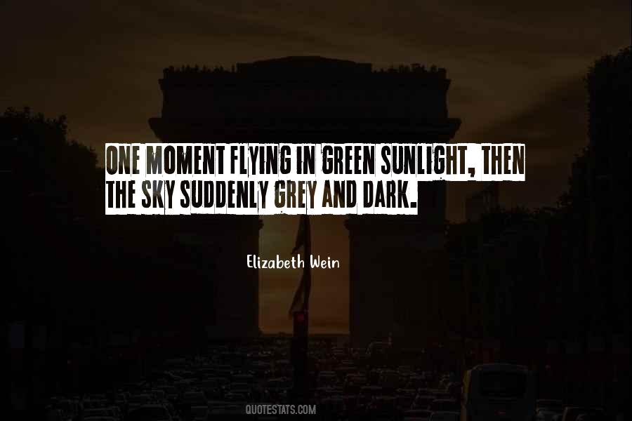 Dolor And Shadow Quotes #1613877