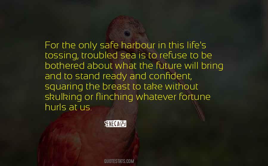 Quotes About Safe Harbour #1271465