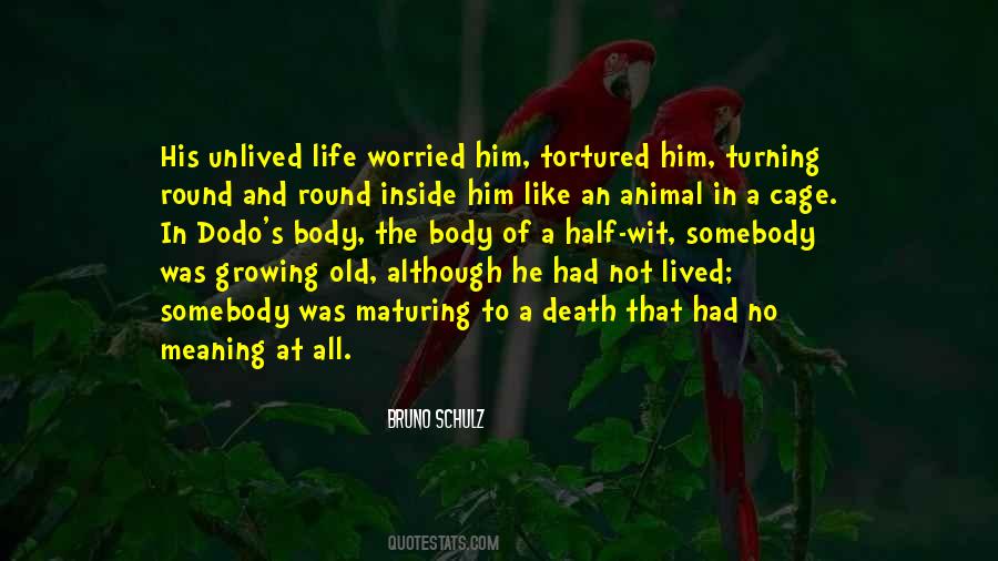 Quotes About Dodo #1722593 Quotes About Dodo #1722593