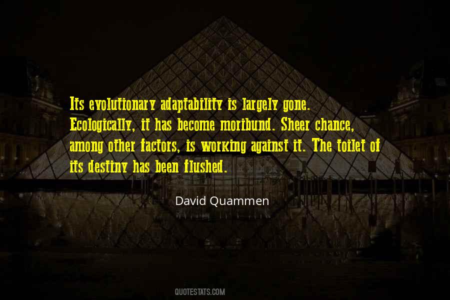 Quotes About Dodo #508797 Quotes About Dodo #508797