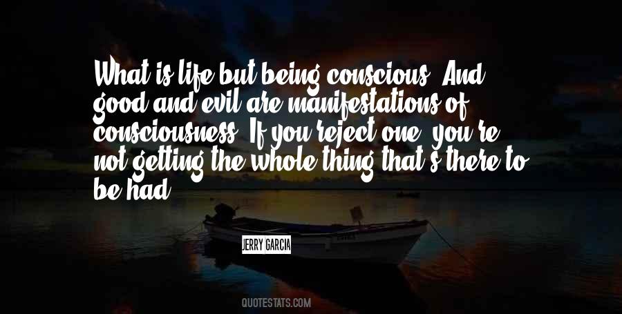 Quotes About Good And Evil #904895