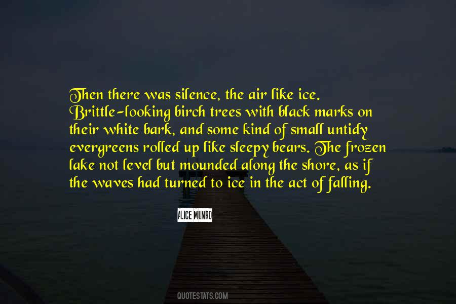 Quotes About A Frozen Lake #103213