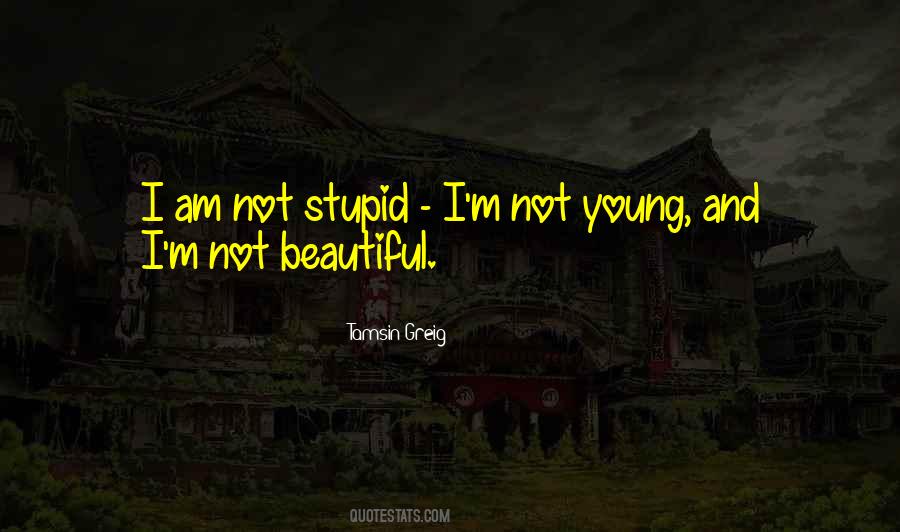 Quotes About I Am Not Stupid #1820021