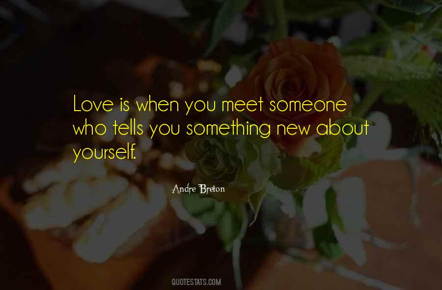 Quotes About When You Meet Someone New #481251