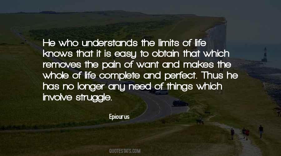 Quotes About Struggle And Pain #1206071